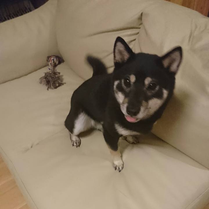 40d4dc59 5452 4fa6 b120 23080d70993e