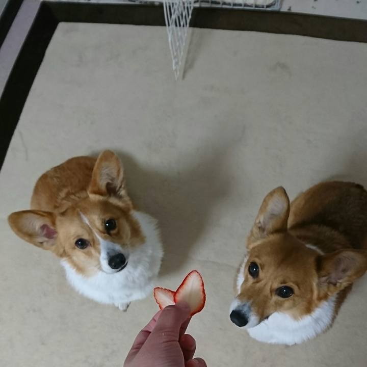 40d4ebd0 aead 40ef beac 484ee8541ddb