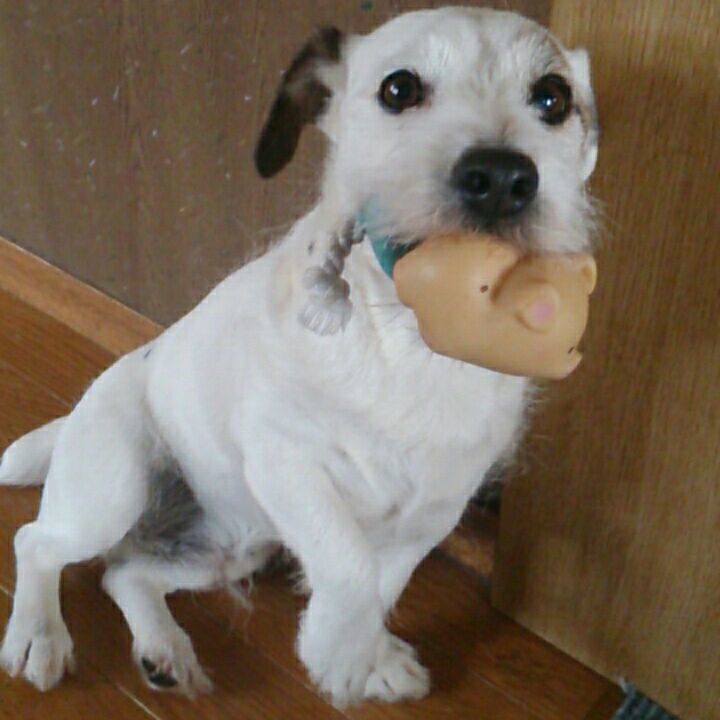 40d546b7 a109 4dfb 9d96 ef85eaffc356