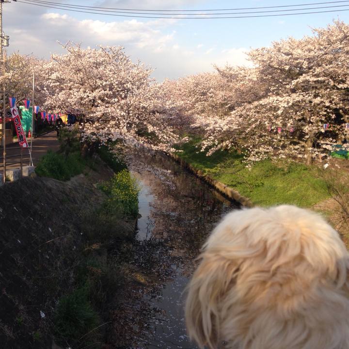 40d55c5f 1ed1 4287 905c d6bb15be1e32