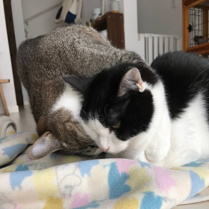 40d569c8 6961 4393 8afe 761b008c7632