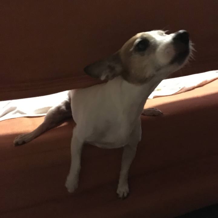 40d56f9d ab65 46f1 b7e5 bb001c16fc43