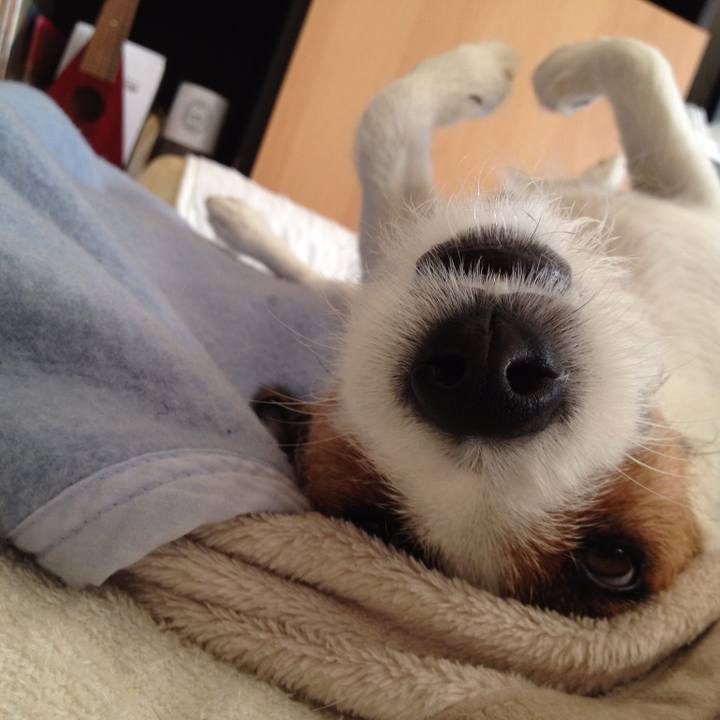 40d75e2a 2947 41d4 ab52 6c06c6fdbf52