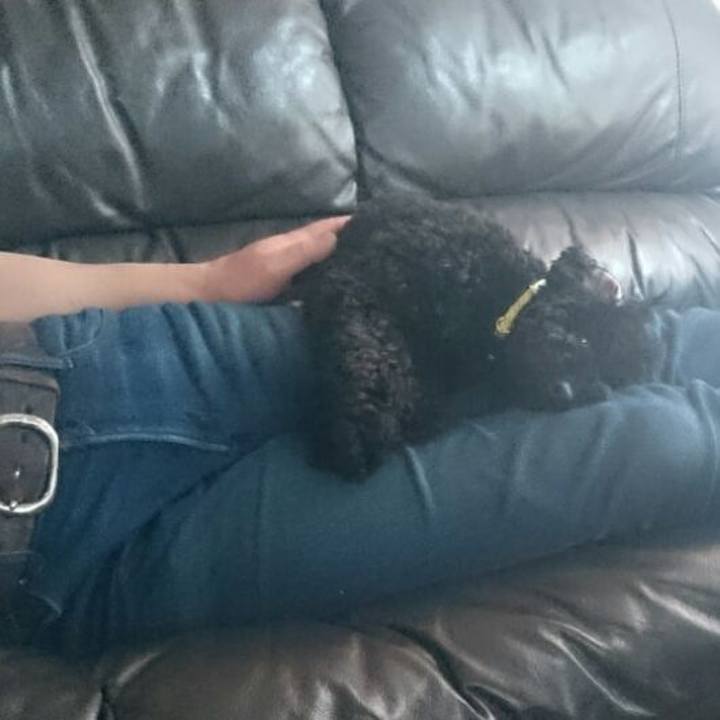 40d7810a 0d77 4d3c 87d0 6cff50161d9d