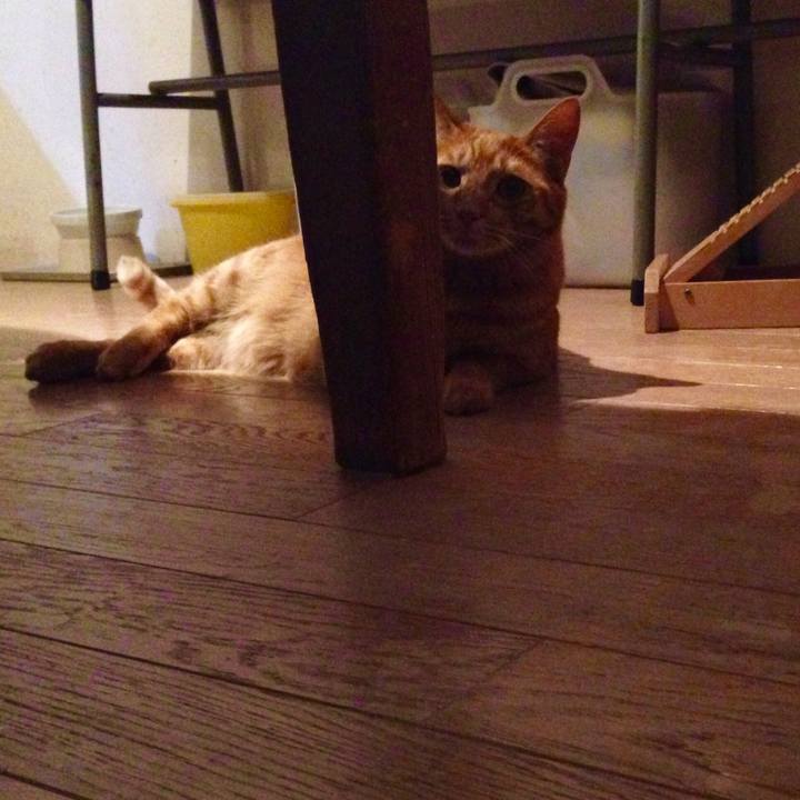 40d7d1ee d602 4553 b4eb a74116d868f4