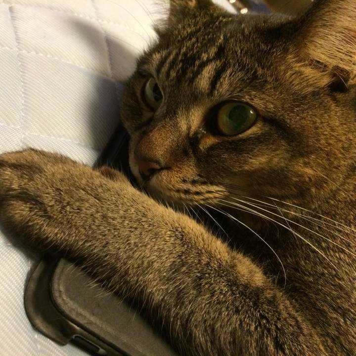 40d92a7e d003 45b0 8225 c591113bd4bc