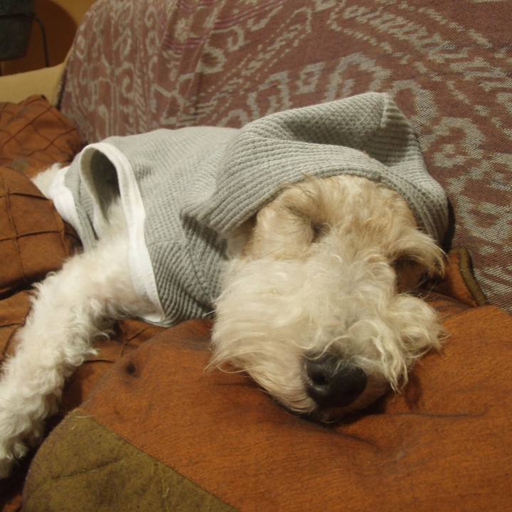 40d99301 f052 4b68 9dea ca60da4b20c4