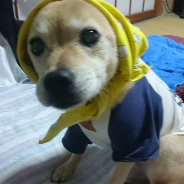 40dacc36 695d 492e b035 b4821e2892df