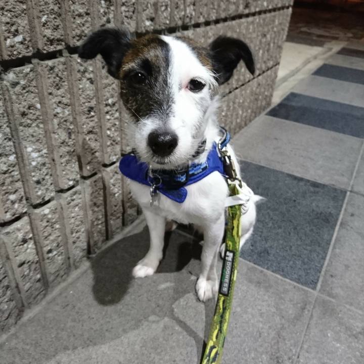 40dad2ca 7f48 452f 84f6 e0d3074f0238