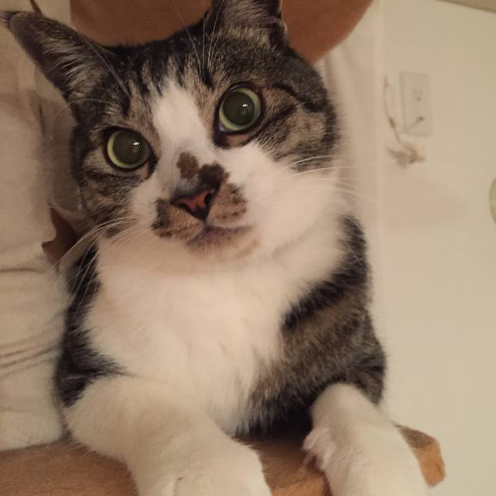 40db4214 d8d4 4be9 920f e532c32d60a9