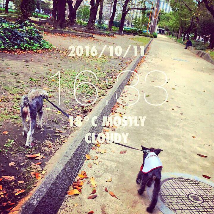 40db833f 7507 4e30 80ba 0ca0d4153637