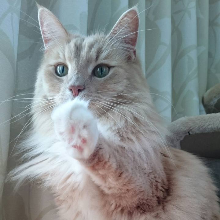 40dc71dd 2d1e 4c07 9aa7 cd39f79116dd