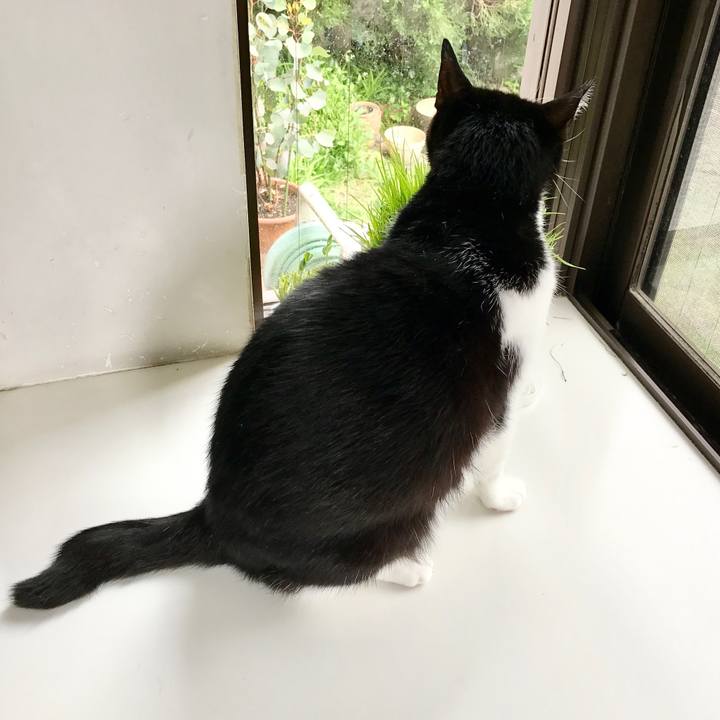 40dc7b7a 4d43 483c ad5e de4523e52549