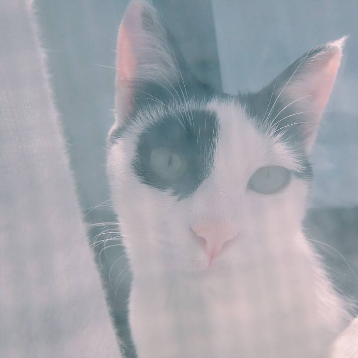 40dcbf72 eb86 4d4e 838b af718b8e34cc