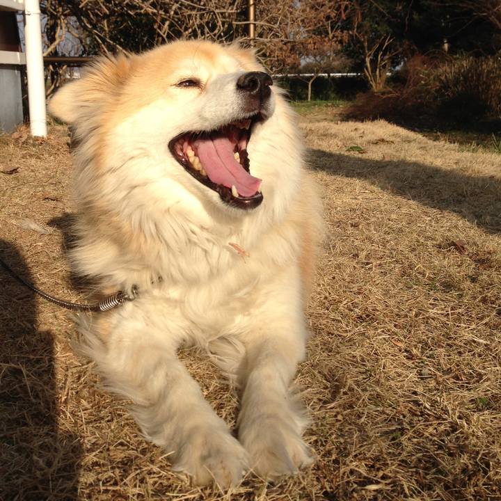 40dcc93e 1ce2 404e 86b9 3204aa4bc4c7