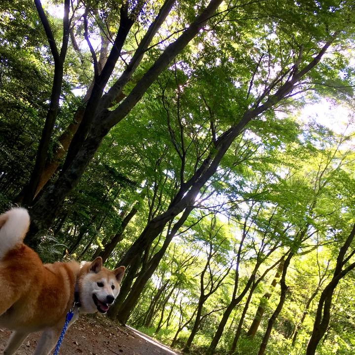 40dcff27 a91a 4760 b505 b9fcfe9fccc5