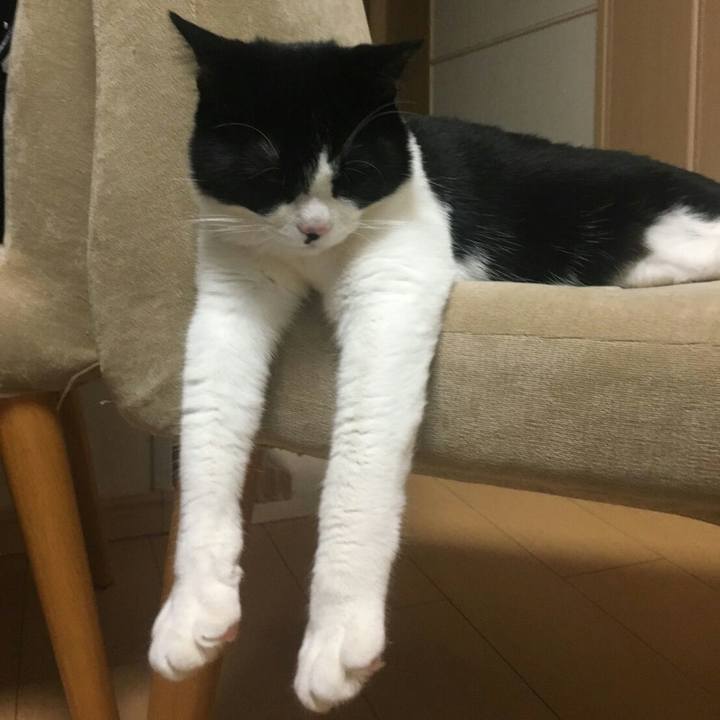 40ddc600 d389 450a 9eda af6a6c4cefc1