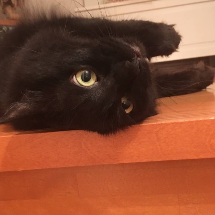 40de74ab 0b87 4b8e 86ae e3c45803ed08