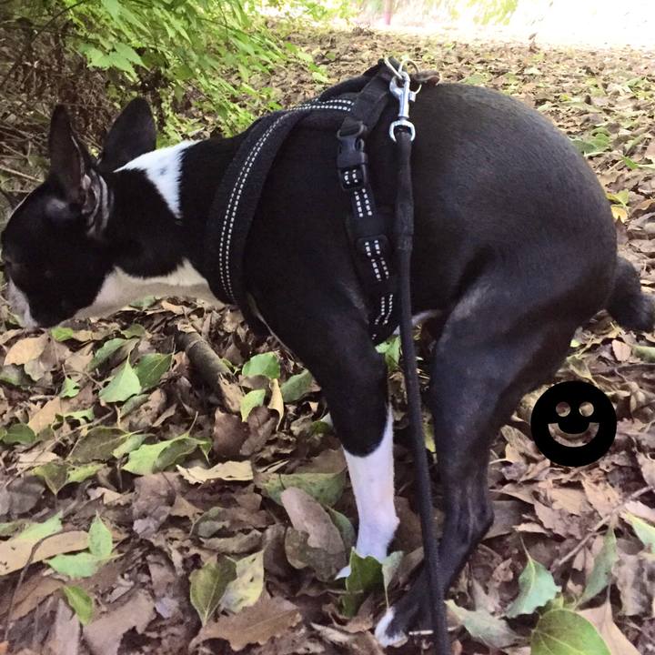 40deaeb7 42c3 4b8a b1bf bf30322b90df