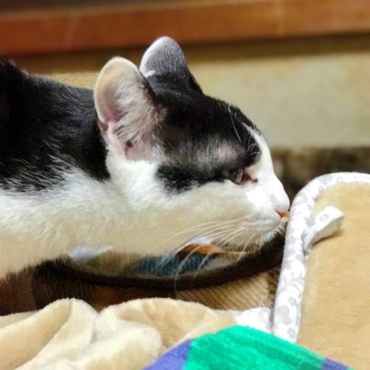 40df45d9 0c74 4310 8d14 28db2a0a3b59