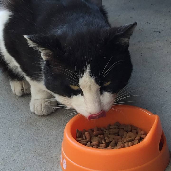 40e016b7 3580 4ea9 a1fa 97f814e156d3