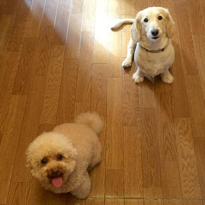 40e0243e 2e02 4f19 9b2d c929cc4ac1bd