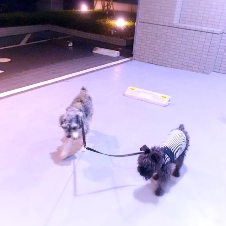 40e06079 5159 443d 9126 0fbb6ce66ac3