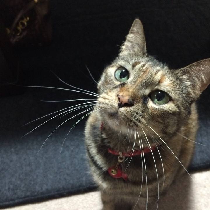 40e0f4a6 71a5 4dd6 90d1 d55bae7eb29c