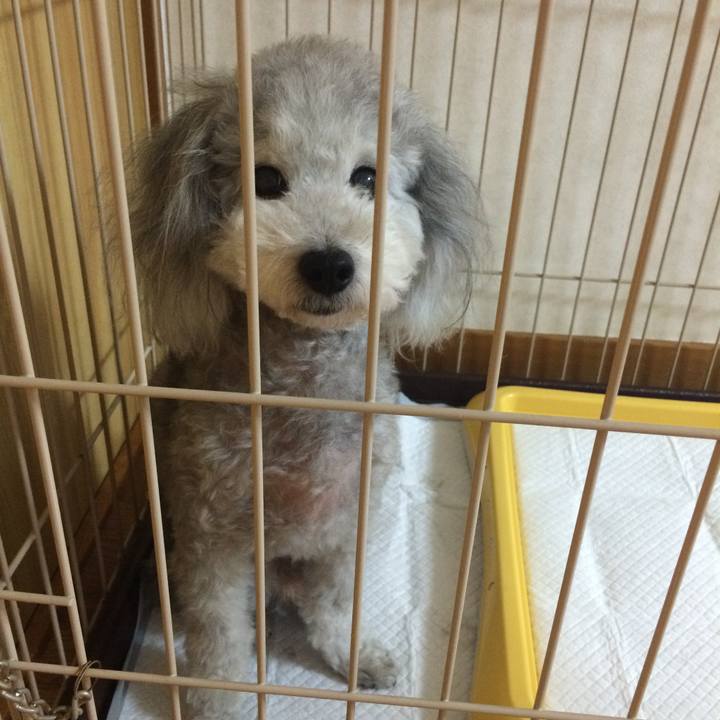 40e15f77 ac98 4b71 9136 9176ecfe42f2