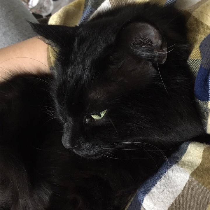 40e1782c 59b5 49ff 924c b1904facc967