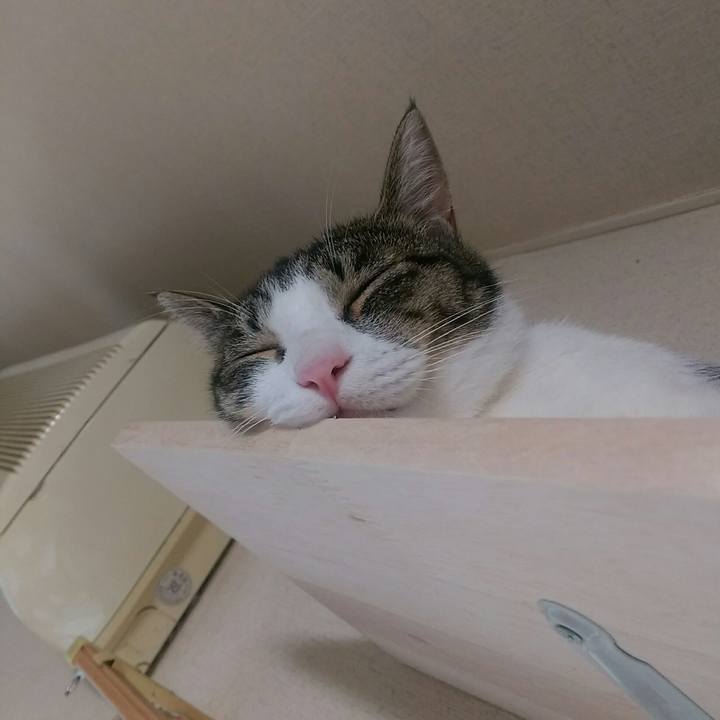 40e18947 54c9 474c ac90 44a6a0c157f0