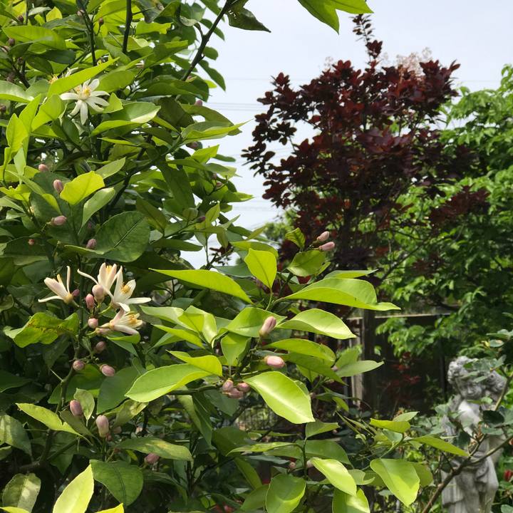 40e1fdb1 d4ba 4114 90be eabf63265936