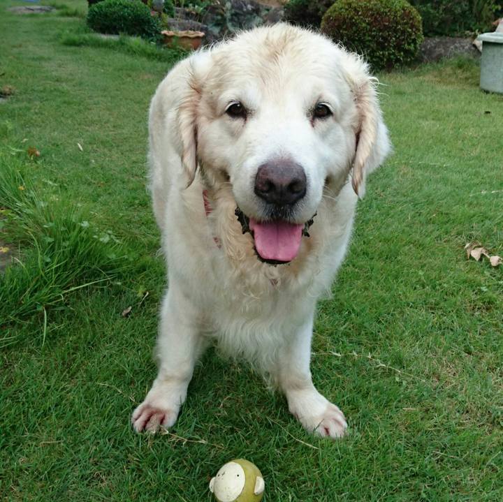 40e22b1c 8e6a 4bb3 9364 b5c6a3b04f41