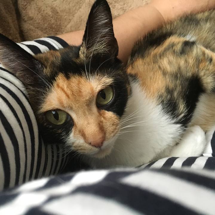 40e2375d e75a 42f0 8248 3e155de2d079