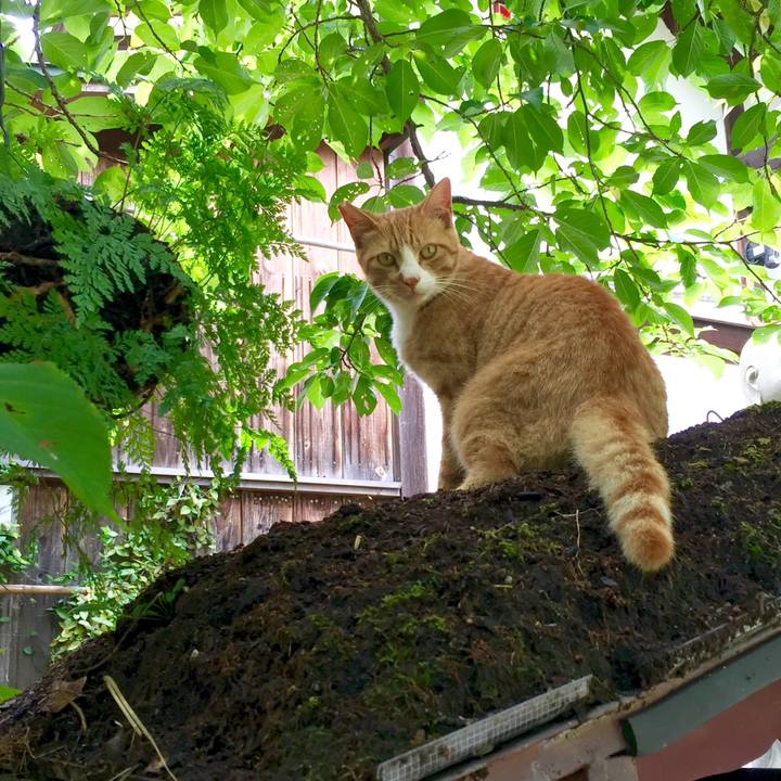 40e2535f 3fd6 4769 bfe9 3744b5232d3f