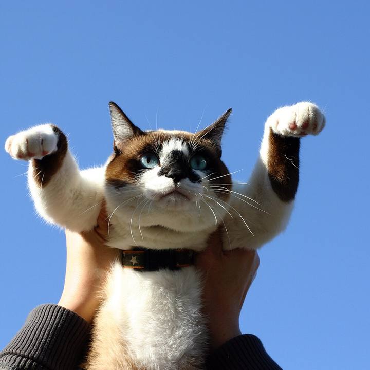 40e2a3a2 858c 4f61 9b6d d4cc97d72a31