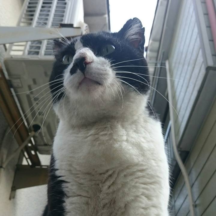 40e2e767 72bd 48cd acf2 ab26be738ed6