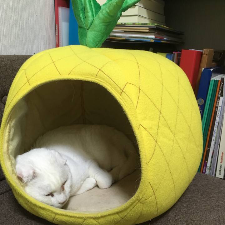 40e353a0 427b 4743 922d 58830ad6477a