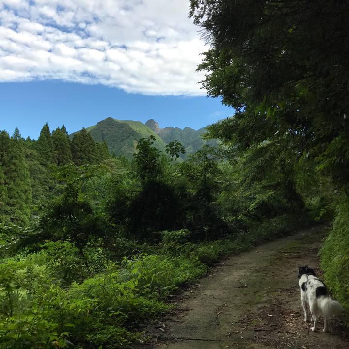 40e37c1d 140f 43de a256 4cc2f3b05186