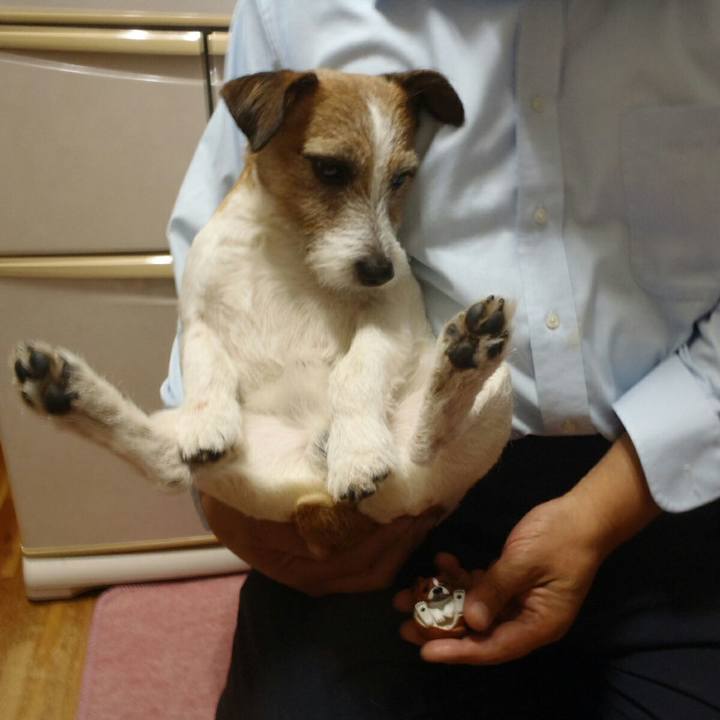 40e38a34 e38c 44e9 b309 5b71579ee0e6