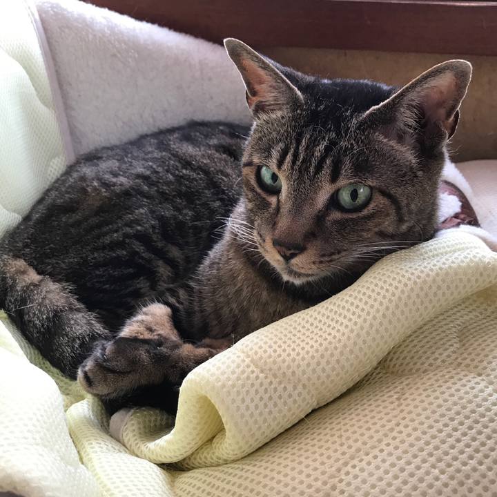 40e48ba5 df2d 45dd ba33 1046a5eab4cd