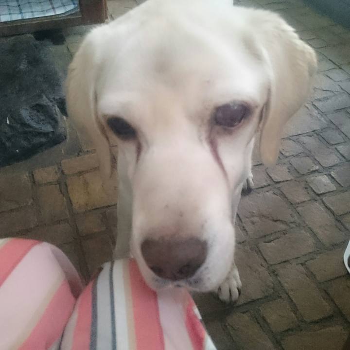 40e49518 e9e2 4b3c a645 fc36f3fdaf94