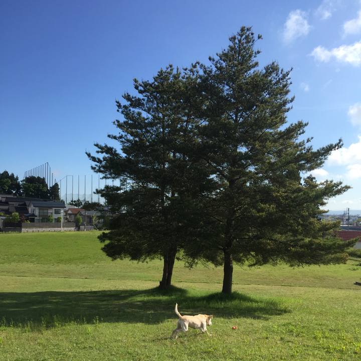 40e49e2c ef89 42d5 b21c 9e2ac8c30ce6