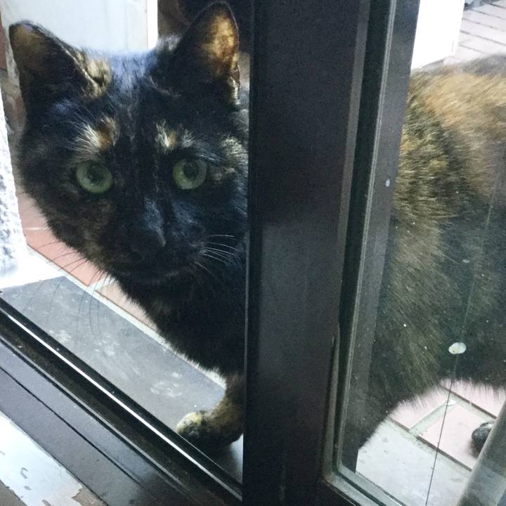 40e4a32f 2c7b 41fd 8daf 1ea843723830