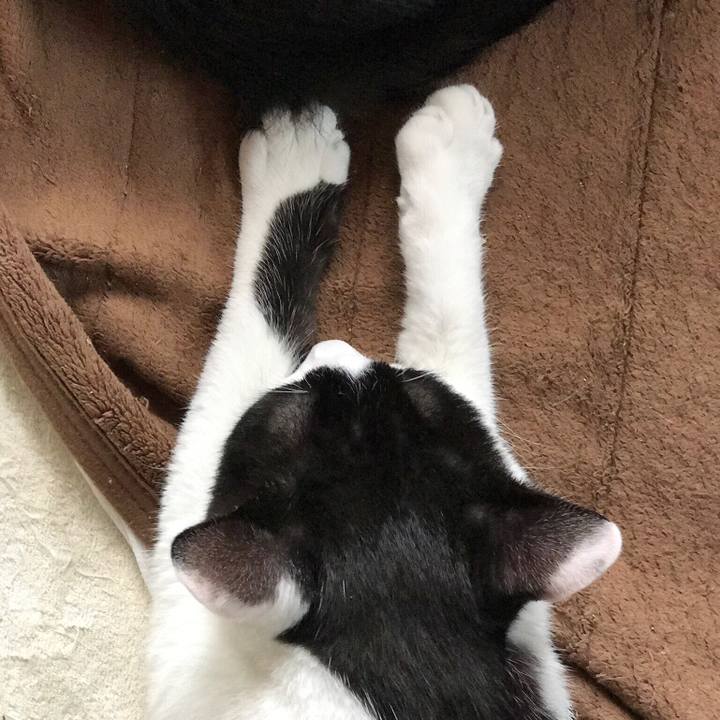 40e50898 1495 423e bd9c 975f5e281eea