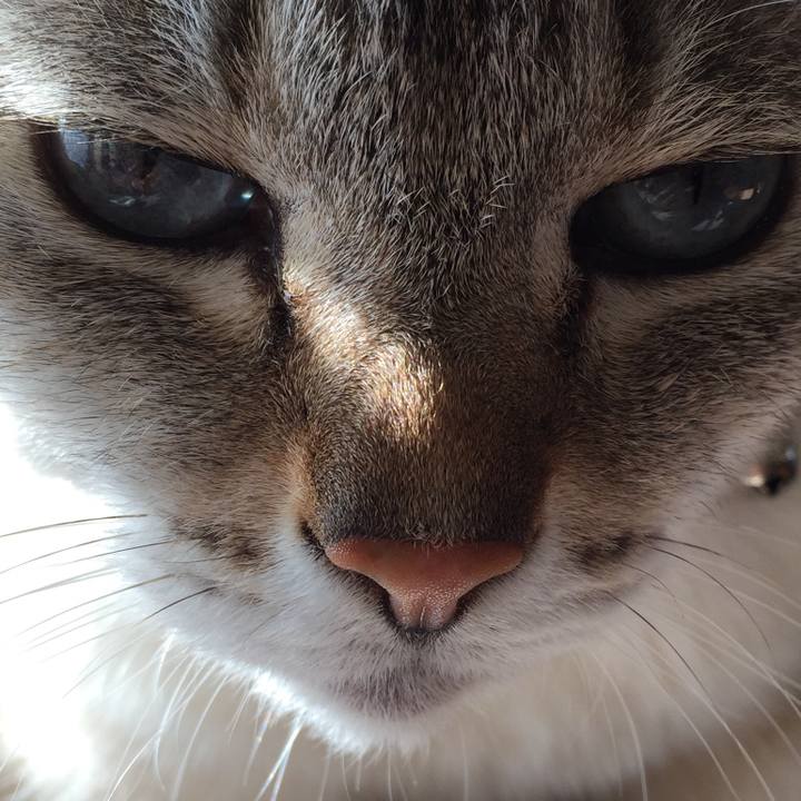 40e549b0 eb75 4996 933f 87c87b0195a0