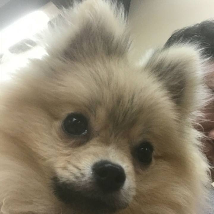 40e6f071 2dac 4420 a8b5 70db3cc590fc