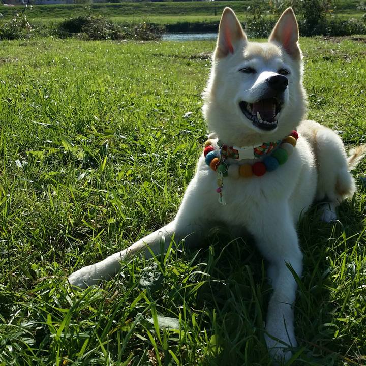 40e7b004 4cb0 4e1b 9f07 e099cb2d04c8