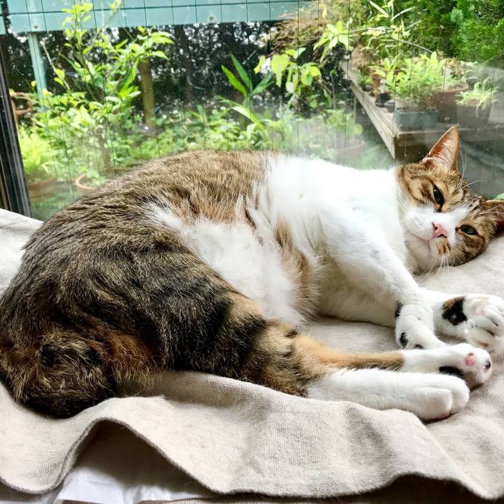 40e8d3d6 1b38 4cfa ada1 f4cf31abac7f