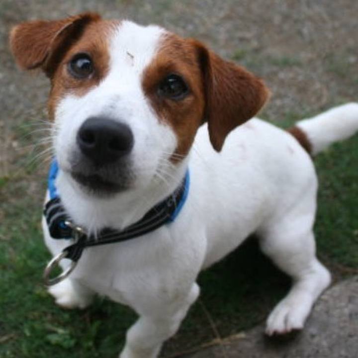 40e967f4 fefd 4ed9 8c79 e2a4713f1631